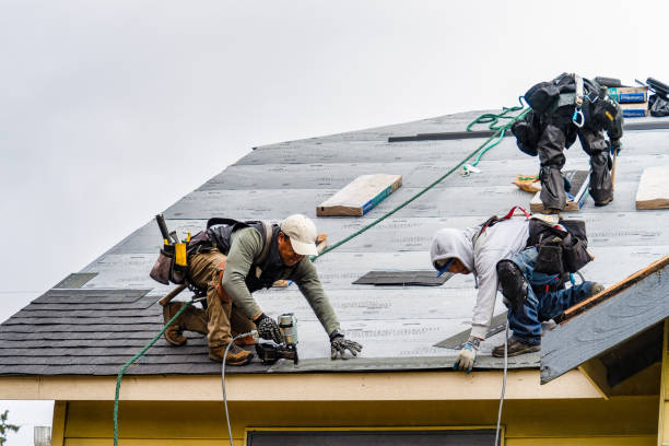 Professional Roofing technician working in New Freeport, PA